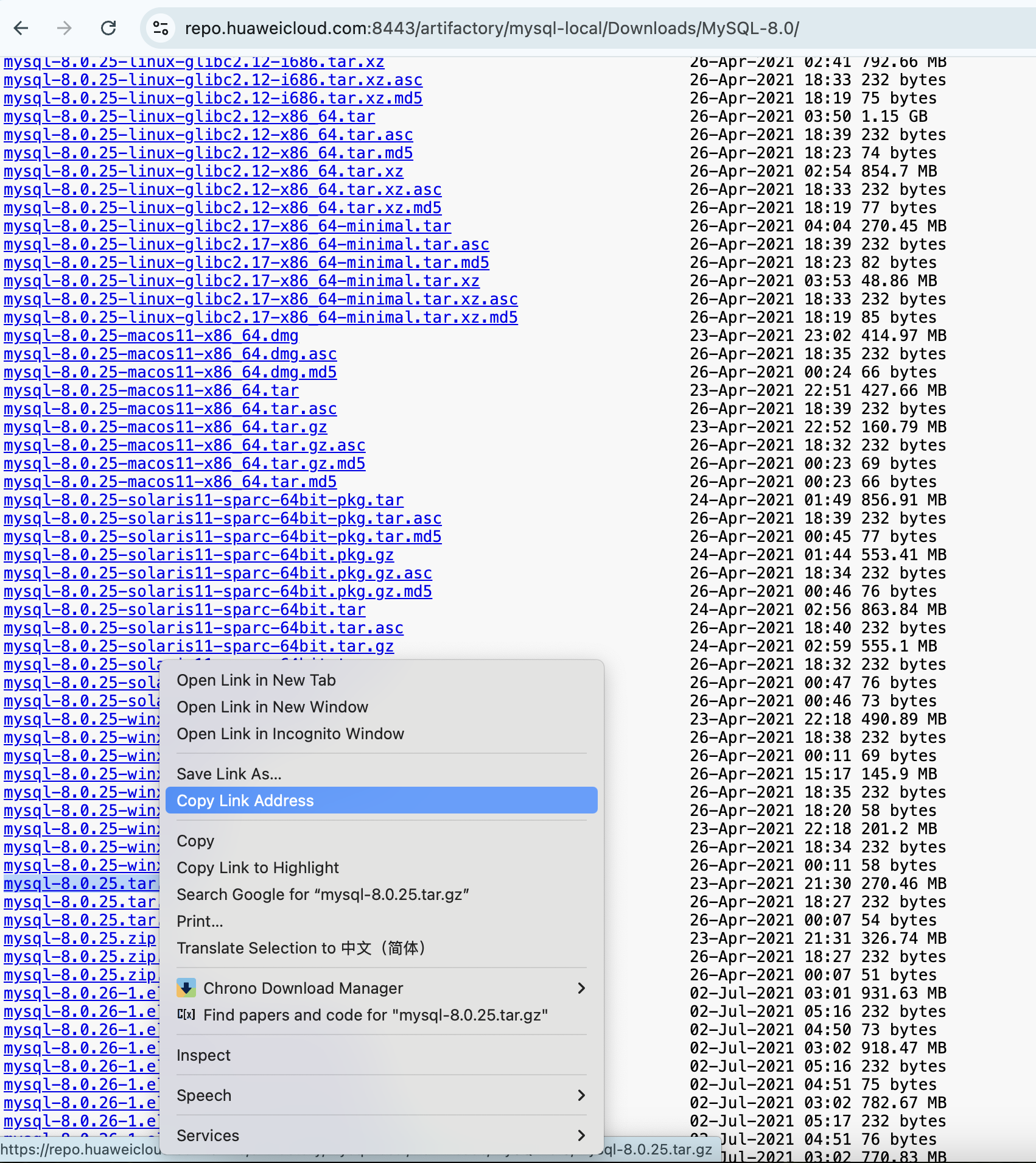 image-20250212171518515